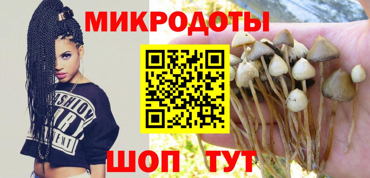 Псилоцибиновые грибы Cubensis  Вход с VPN  Ступино 