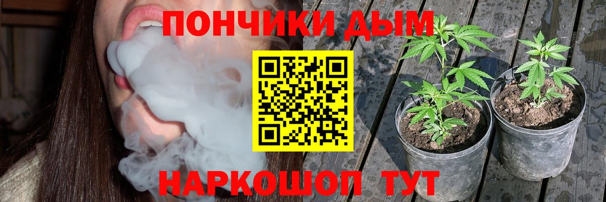 Бошки марихуана сатива Ступино